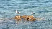 Croatia - photo album